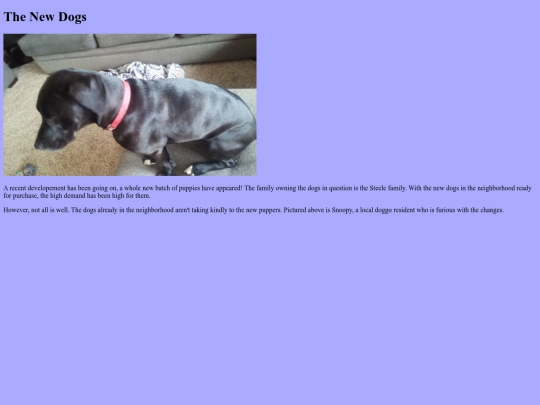 Unit-6/Blog/Blog screenshot