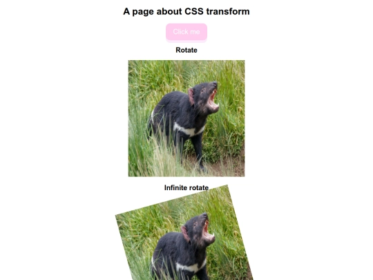 Transform screenshot