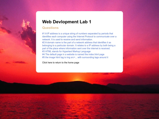 webDev screenshot