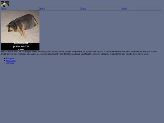 misegundaweb screenshot