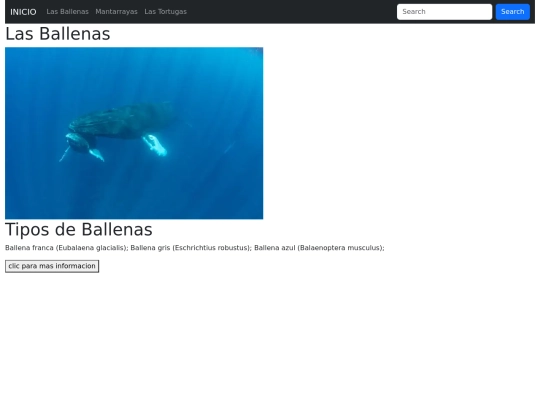 pagina/pagina1 screenshot