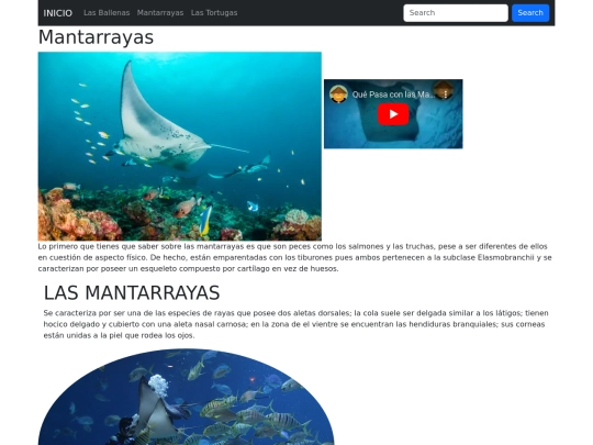pagina/pagina2 screenshot