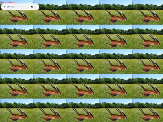Horse.Bullshit screenshot