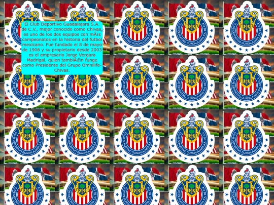 actividad 9 screenshot