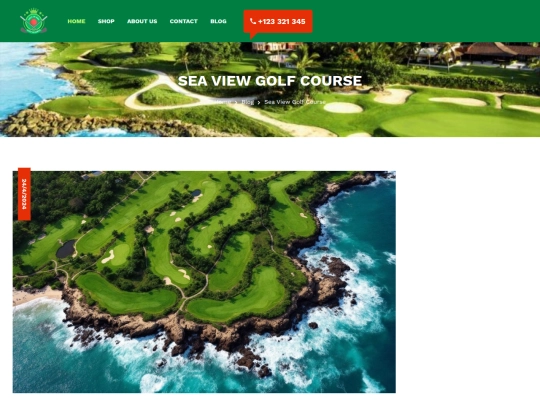 blog-golf1 screenshot