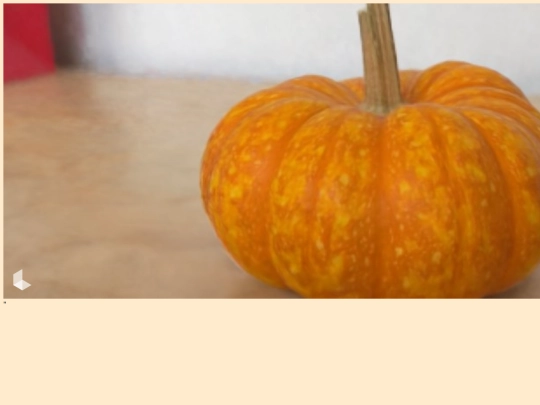 PumpkinScan screenshot