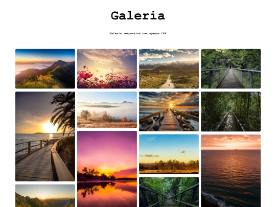 web2/galeria screenshot