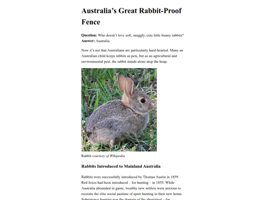 rabbit_fence/rpf screenshot