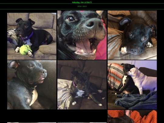 doggy/babydog screenshot