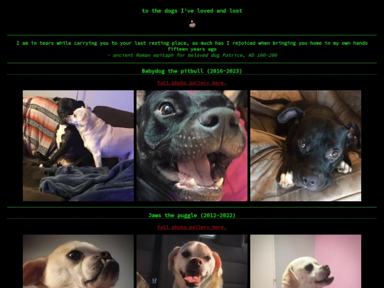 doggy screenshot