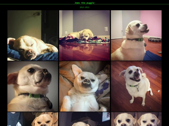 doggy/jaws screenshot