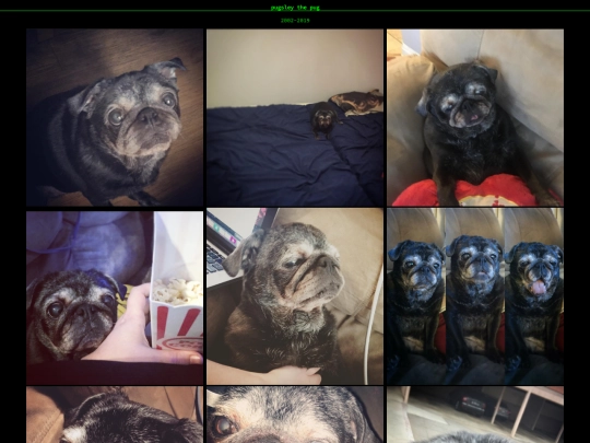 doggy/pugsley screenshot