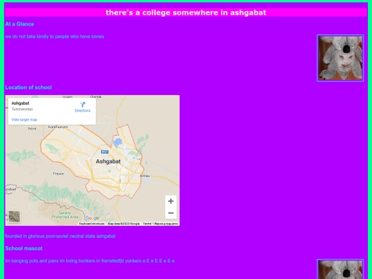 college-web-page screenshot
