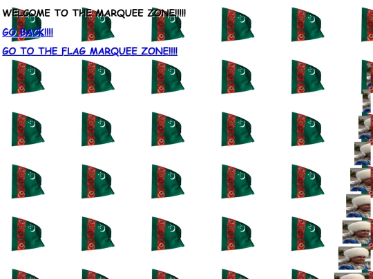 marquee-zone screenshot
