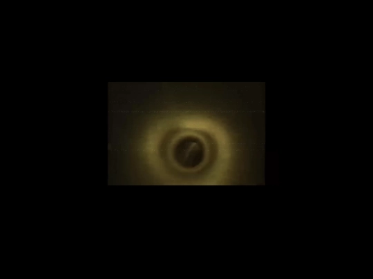 hallucinations/yellowyellow screenshot