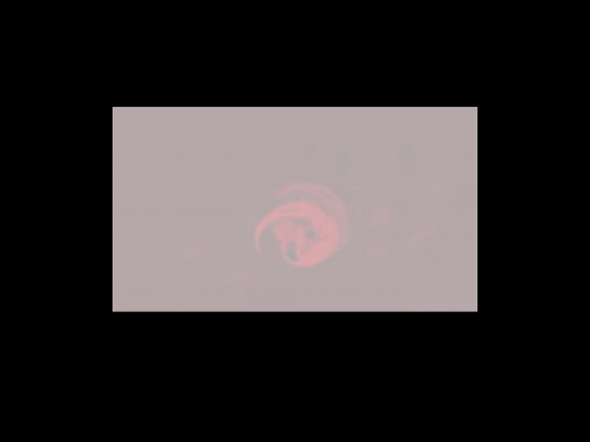 pixels/rllrrlrll screenshot