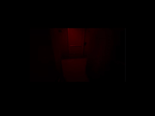 pixels/rllrrlrlr screenshot
