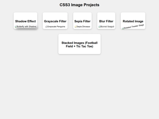CSS.Images.index screenshot