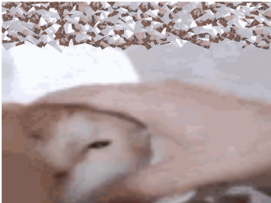 consume screenshot