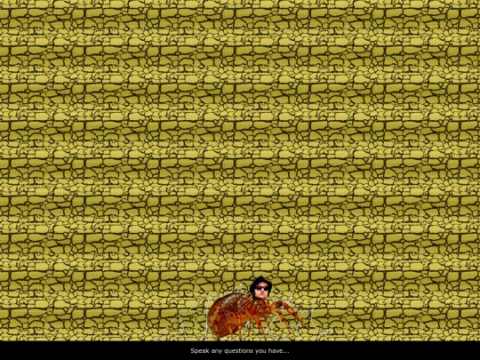 backflip screenshot