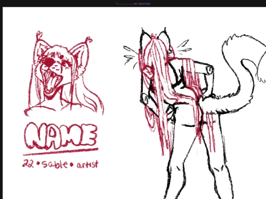 images screenshot