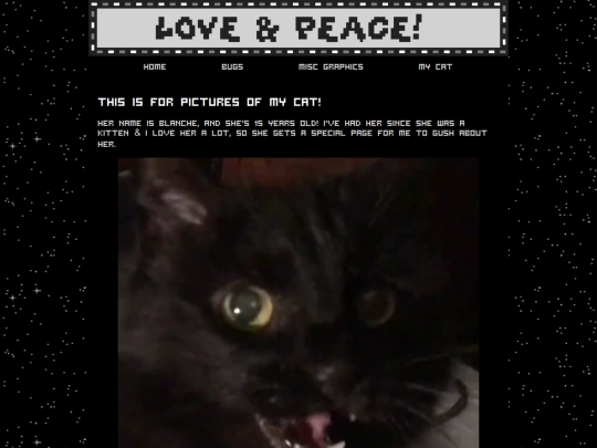 cat screenshot
