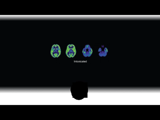 Congregate1 screenshot