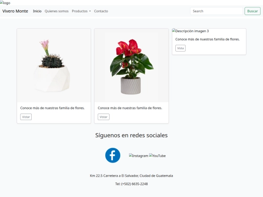 MONTE Diana Jacinto/productos screenshot