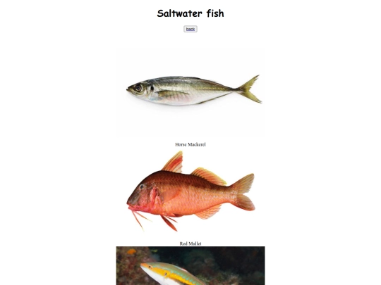 Saltwater screenshot