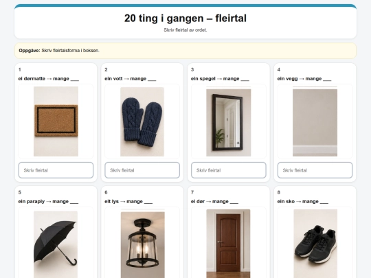 20_ting_i_gangen_fleirtal screenshot