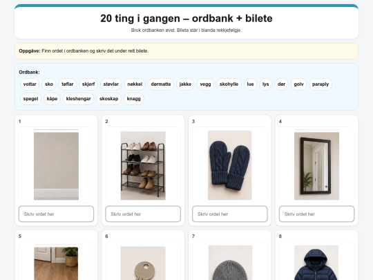 20_ting_i_gangen_ordbank_bilete screenshot