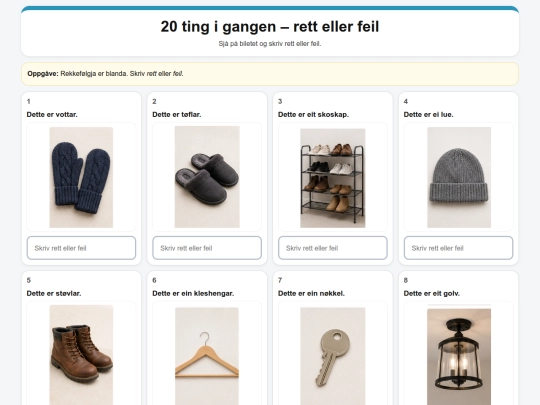 20_ting_i_gangen_rett_eller_feil screenshot