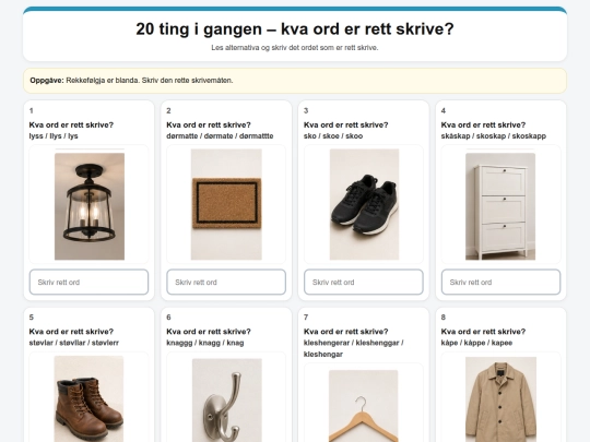 20_ting_i_gangen_rett_skrive screenshot