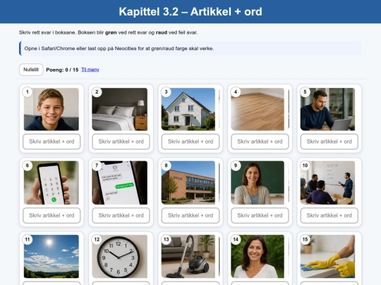 kap-3.2- 03_artikkel_og_ord screenshot
