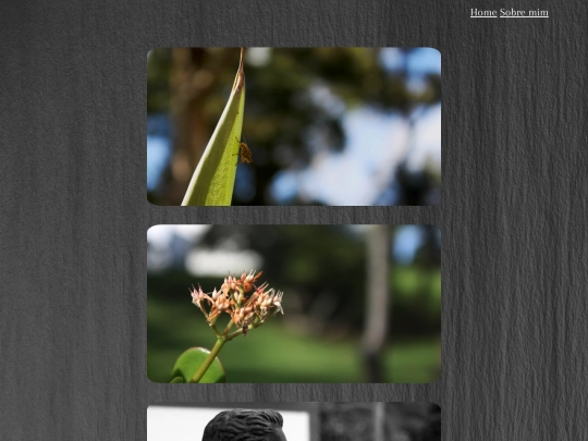 galeria screenshot