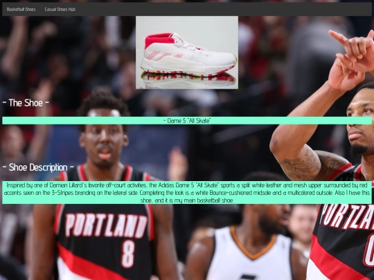 shoe2 screenshot