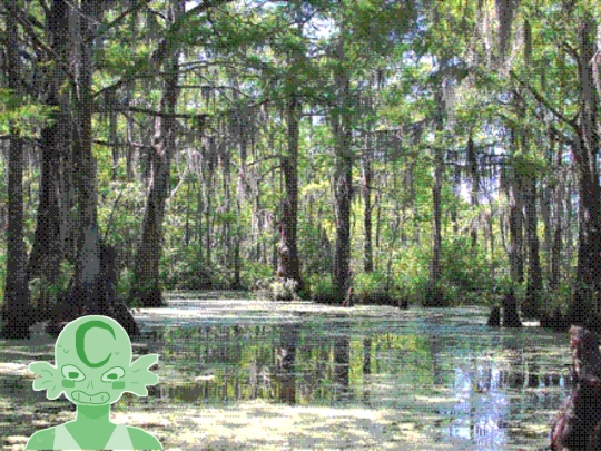 swamp screenshot