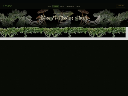 acladocricus-sp screenshot