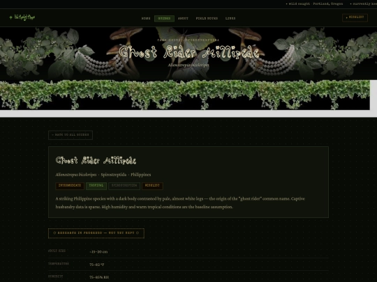 alienostrepus-bicoloripes screenshot