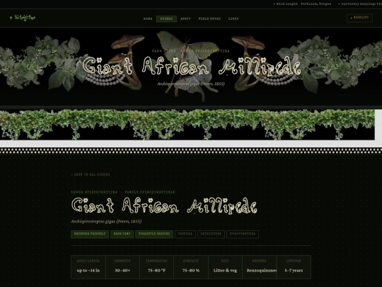 archispirostreptus-gigas screenshot