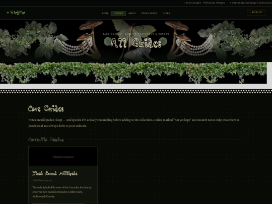 guides screenshot