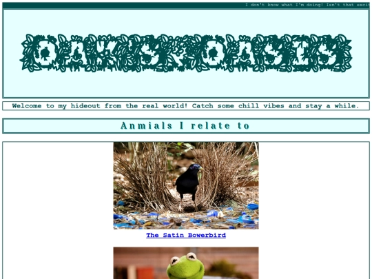 backup/3-12-pm screenshot