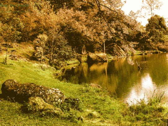 art screenshot