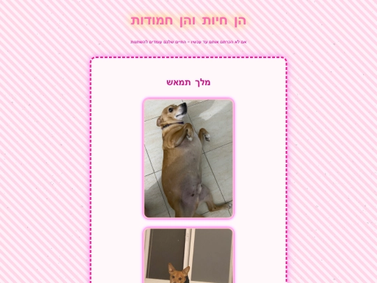 animals screenshot