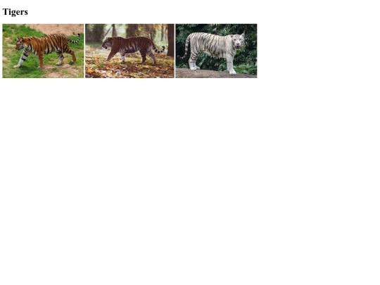 HTML_webdesign /2.04 picture assignment screenshot