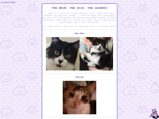 personal/kitty screenshot