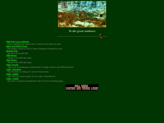 to_the_great_outdoors screenshot