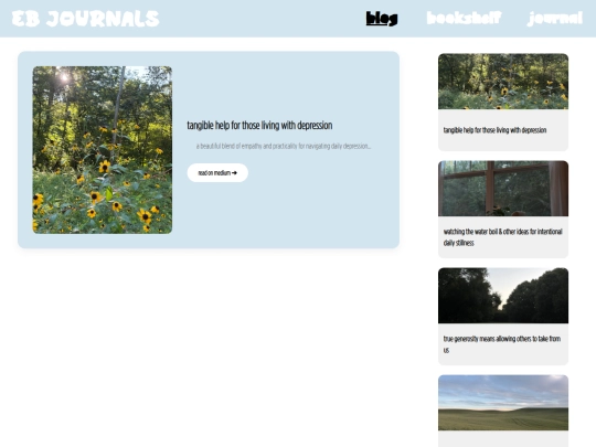 blog screenshot