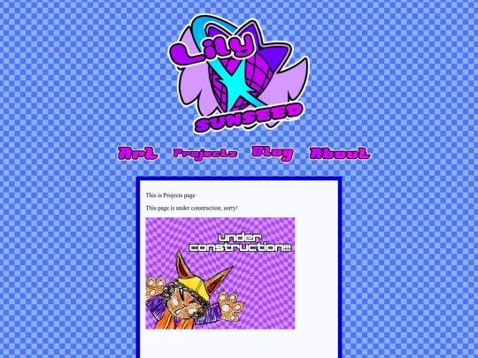 projects screenshot
