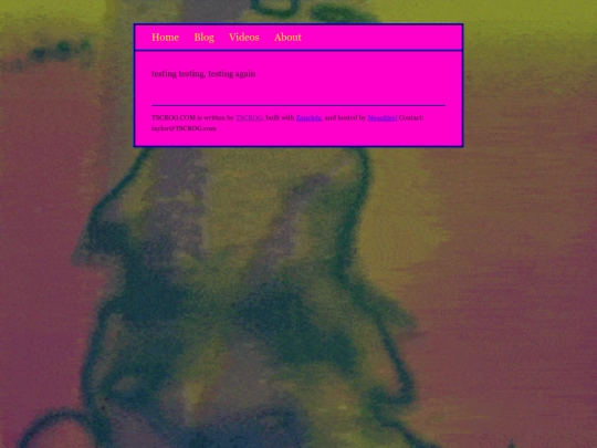 posts/2020-11-30-Testing_Buddy screenshot